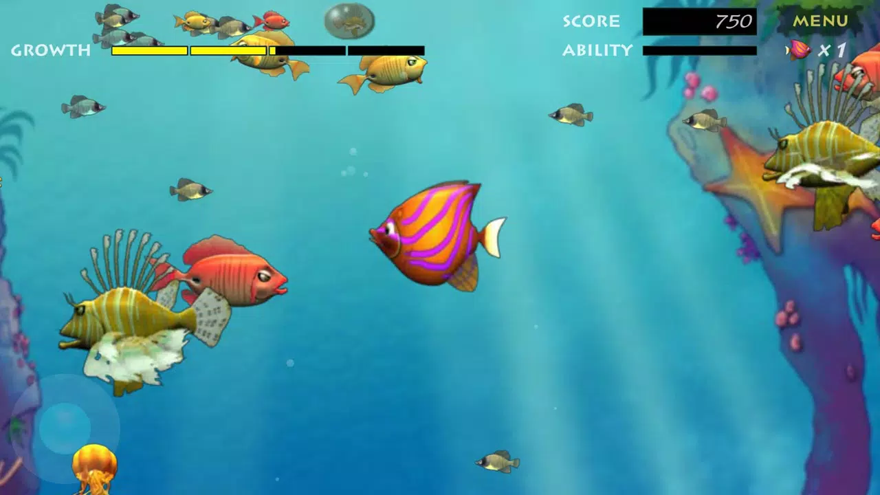 Fish Feeding Frenzy APK for Android Download