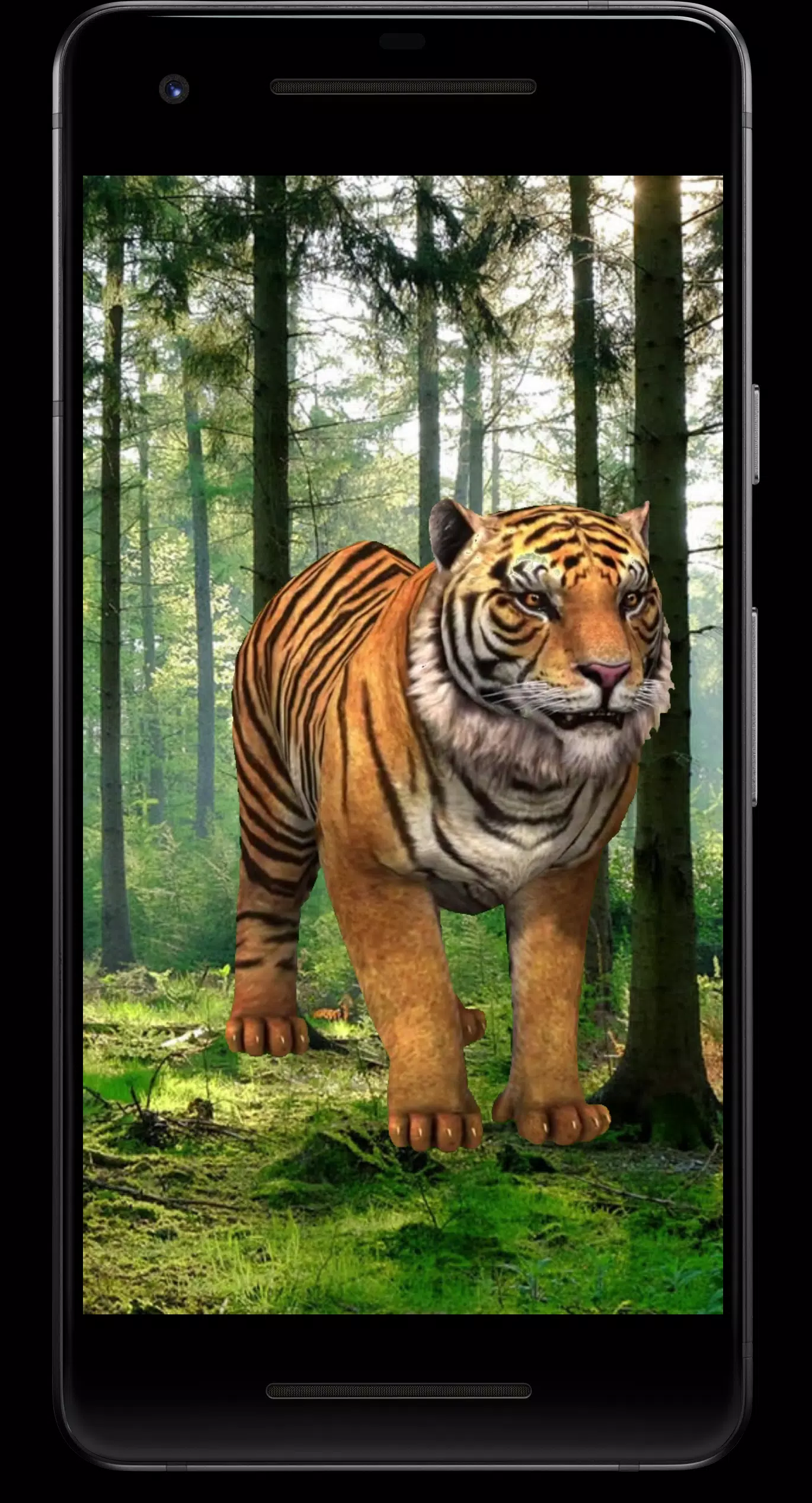 Tigers by Live Wallpaper HD 3D live wallpaper for Android. Tigers