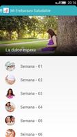 Embarazo Saludable plakat