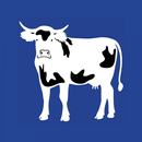 BATU-Besici Arz Talep-APK
