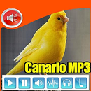 Canario Belga de Brasileiros APK