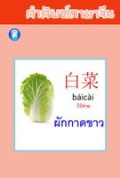 คำศัพท์ภาษาจีน screenshot 3