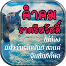 คำคมราตรีสวัสดิ์ APK