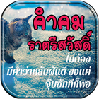 คำคมราตรีสวัสดิ์ biểu tượng
