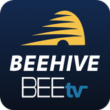 Beehive BEEtv aplikacja