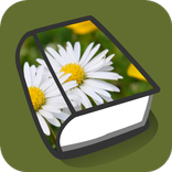 Famílias botânicas