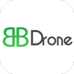 BeesDrone
