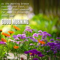 برنامه‌نما Good Morning Wishes And Quotes عکس از صفحه