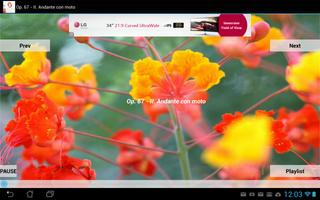 Beethoven Symphony Number 5 स्क्रीनशॉट 1
