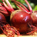Beets