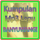 Lagu banyuwangi pilihan enak di dengar APK