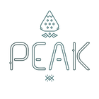 Peak Nutrition ícone