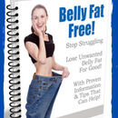 belly fat exercises APK
