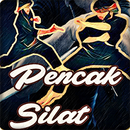 Belajar Pencak Silat Indonesia APK