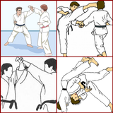 Taekwondo technique icon
