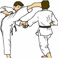 Taekwondo technique screenshot 3