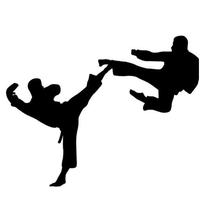 Taekwondo technique screenshot 1