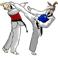 Taekwondo technique screenshot 2