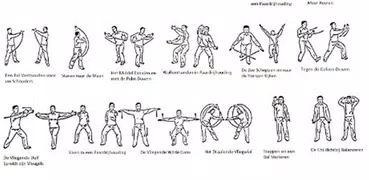 learn tai chi