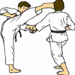 apprendre le taekwondo