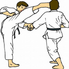 Lerne Taekwondo Zeichen