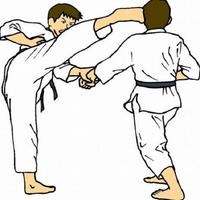 apprendre le taekwondo Affiche