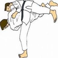 apprendre le taekwondo capture d'écran 1