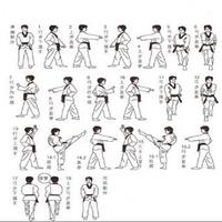 learn tekwondo syot layar 2