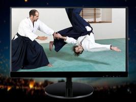 Apprenez des techniques de base en aïkido capture d'écran 2
