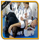 Learning Basic Judo Techniques icon