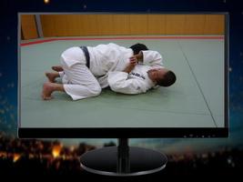 Learning Basic Judo Techniques screenshot 2