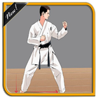 Learning Basic Karate Techniques icône