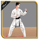 Learning Basic Karate Techniques APK