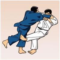 Apprendre les techniques de judo Affiche