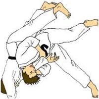Belajar Teknik Judo screenshot 1