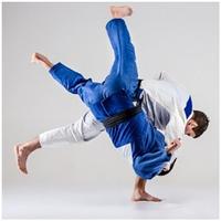 Apprendre les techniques de judo capture d'écran 3