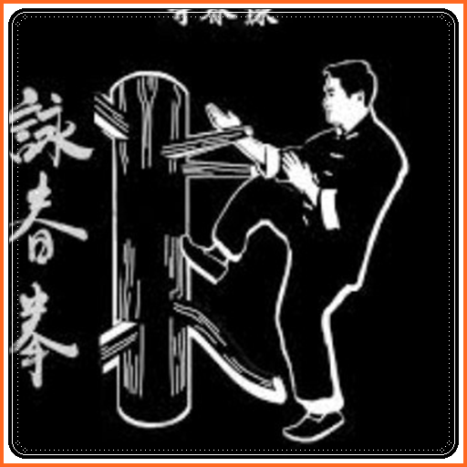 Lernen Sie Wing Chun