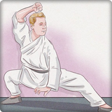 Học Wushu biểu tượng