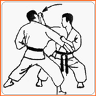 apprendre les arts martiaux icône