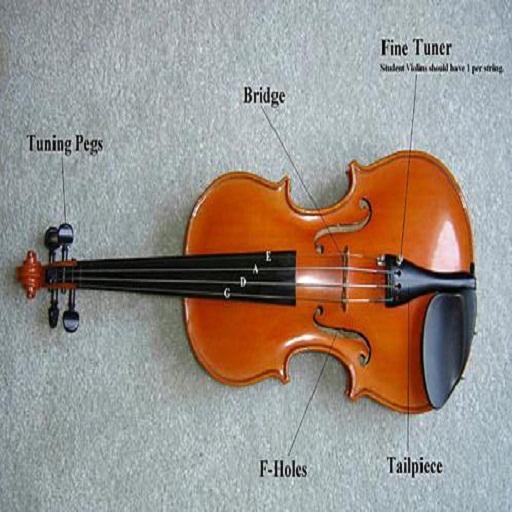 Violin last. Сколько лет надо учиться на скрипке.