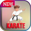 learn basic karate