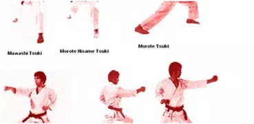 learn karate