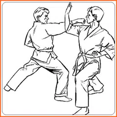 learn karate APK download