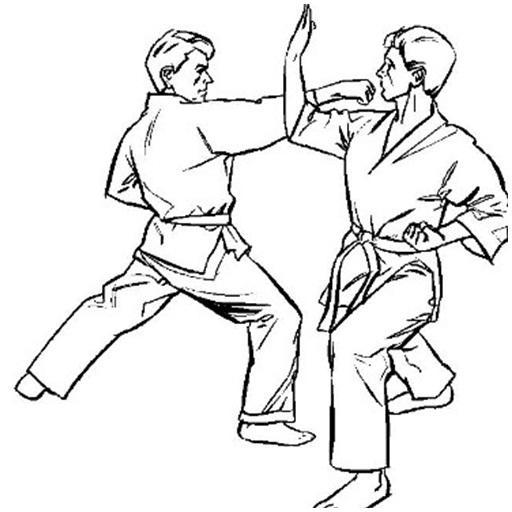 Tải xuống APK Học Karate cho Android