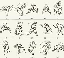 learn martial arts capture d'écran 2
