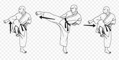 Apprendre le Kung Fu capture d'écran 1