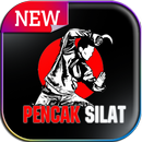 learn the latest pencak silat APK