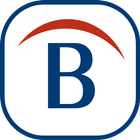 BelMonitor Client icon