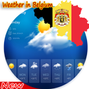 Weather Daily in Belgium and rest World APK