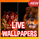 Wallpaper Live - Offline & Free APK
